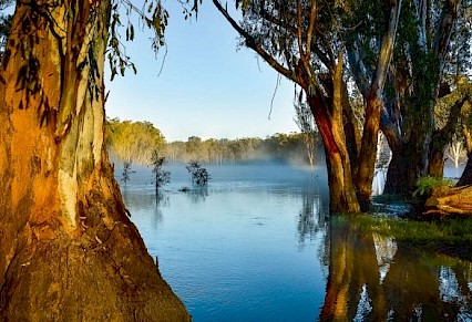 body found murray river